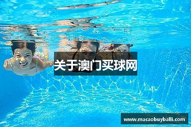 关于澳门买球网